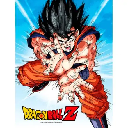 Dragon Ball Z Goku Kame üveg poszter 46x31 cm termékfotója