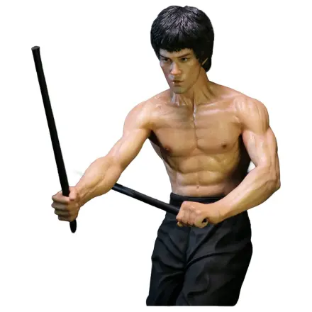 Enter the Dragon Movie Socha 1/6 Bruce Lee Kali Sticks Fight Normal Basement Verzia 30 cm produktová fotografia