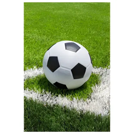 Football Corner Fleecová deka 100x150cm produktová fotografia