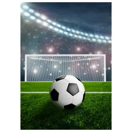 Futbalový štadión fleece deka produktová fotografia