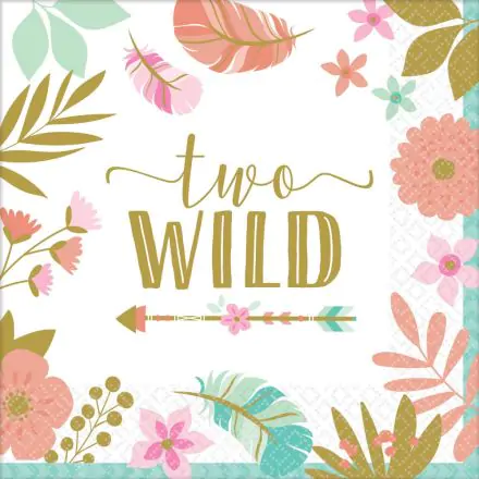 Happy Birthday Girl 2 servítky, 16 kusov, 33*33 cm produktová fotografia