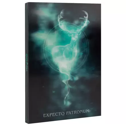 Harry Potter A5 lentikulárny zápisník produktová fotografia
