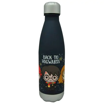 Harry Potter Back to Hogwarst fľaša 650ml termékfotója