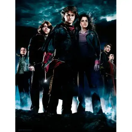 Harry Potter Group sklenený plagát produktová fotografia