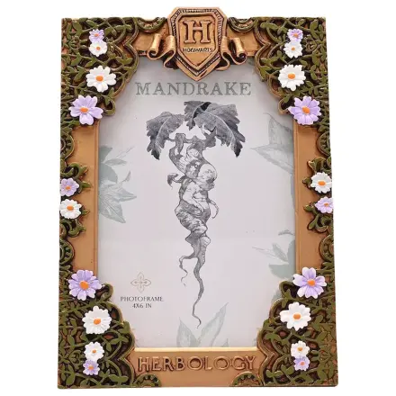Harry Potter Herbology 3D Fotorámik produktová fotografia