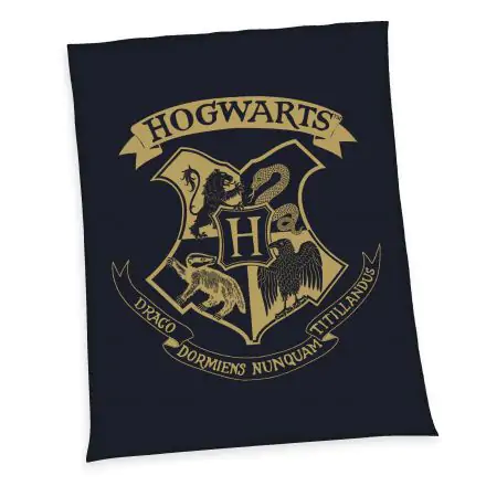 Harry Potter Fleece deka Hogwarts 150 x 200 cm termékfotója