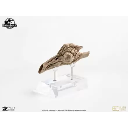 Jurassic Park III Prop Replica 1/1 Velociraptor rezonančná komora 18 cm produktová fotografia