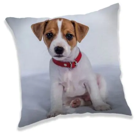 Vankúš s motívom psa, dekoratívny vankúš 40x40 cm produktová fotografia