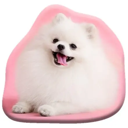 Dekoratívny vankúš v tvare psa plemena Pomeranian produktová fotografia