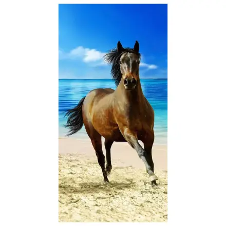 Rider plážová osuška 70x140cm produktová fotografia