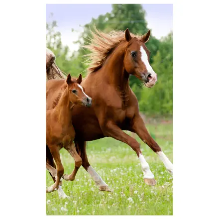 Lovas Career uterák na ruky, uterák na tvár, uterák produktová fotografia