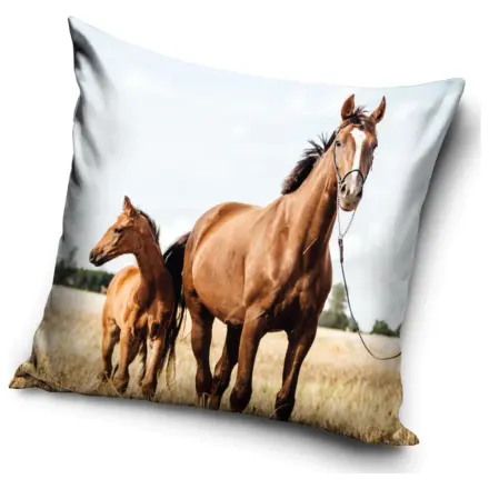 Obliečka na vankúš Rider Loyal Hearts produktová fotografia