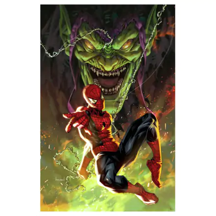 Marvel Art Print Spider-Man vs Green Goblin 41 x 61 cm - bez rámu produktová fotografia