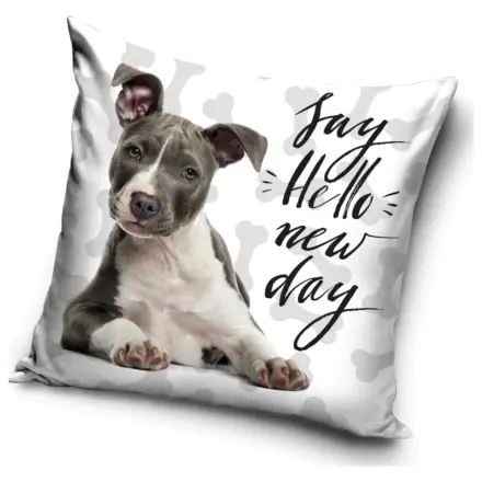 New Day obliečka na vankúš produktová fotografia