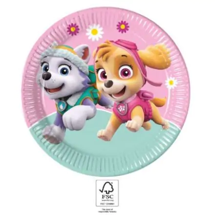 Paw Patrol Skye a Everest papierové taniere 8 ks 23 cm FSC produktová fotografia