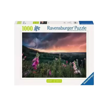 Power of Nature Puzzle A Storm is coming (1000 dielikov) produktová fotografia