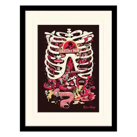 Rick and Morty Collector Print Rámovaný plagát Anatomy Park (biele pozadie) produktová fotografia