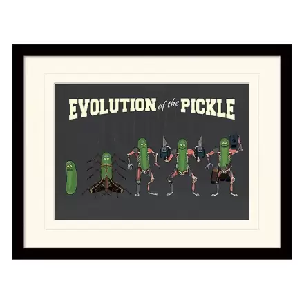 Rick and Morty Collector Print Zarámovaný plagát Evolution of the Pickle (white background) produktová fotografia