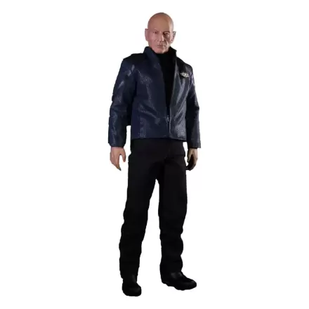 Star Trek: Picard akčná figúrka 1/6 Jean-Luc Picard 28 cm termékfotója